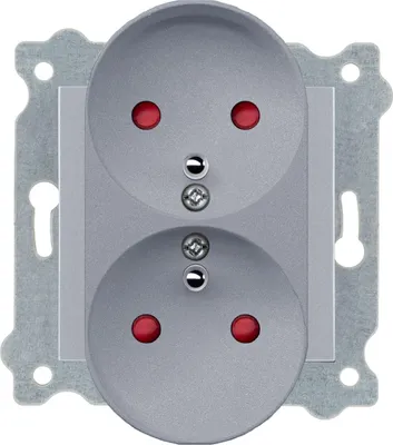 Image de Prises doubles mises à la terre (type E) avec couvercle conducteur de courant Argent 248/10E EXEN