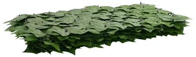 Image de vidaXL Brise-vue de balcon avec feuilles, vert, 600 x 75 cm