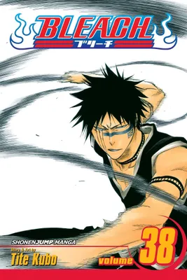 Image de Bleach, Vol. 38