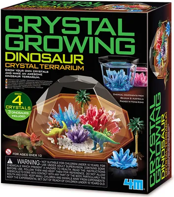 Image de Terrarium pour dinosaures avec cristaux