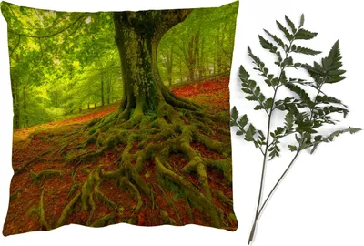 Produktbild von MuchoWow® Zierkissen Sofakissen Wohnzimmer Dekokissen 50x50 cm Baum - Wald - Herbstblätter - Komfort - Sofakissen