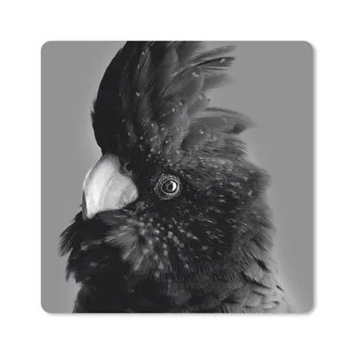 Produktbild von MuchoWow® Mauspad Mousepad Nahaufnahme eines Kakadus vor gelbem Hintergrund - schwarz und weiß 30x30 cm - Mousepads - Maus Mat - Pad - Mausunterlage - Gaming