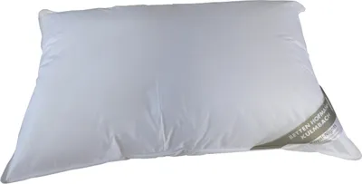 Produktbild von Hofmann Canada Kopfkissen Federkissen Kissen Polster 50x75 cm  700 g 15% Daunen