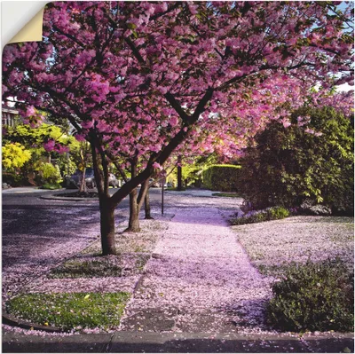 Produktbild von ARTland Wandbild, selbstklebend Fallende Blütenblätter Größe: 70x70 cm