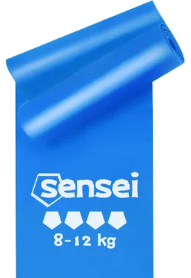 Immagine prodotto di Bande elastiche di resistenza e elastici per fitness (200 cm) – Ideali per la fisioterapia e l'allenamento della forza