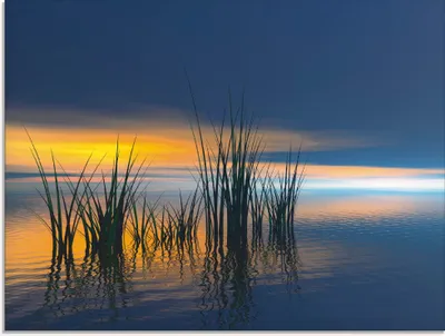 Produktbild von ARTland Glasbild Sonnenuntergang III Größe: 60x45 cm