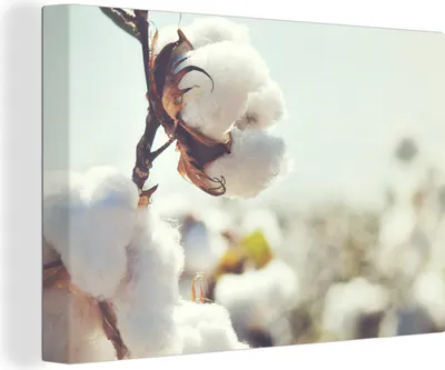 Produktbild von OneMillionCanvasses® - Leinwandbilder - 150x100 cm, Pflanzen - Blume - Zweig - Natur, Wandbilder Kunstdruck Wanddekoration - Foto auf Leinwand - Gemälde auf Holzrahmen
