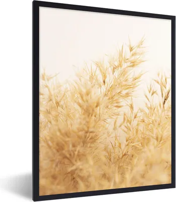 Produktbild von MuchoWow® Gerahmtes Poster Pampasgras - Sonne - Gras 60x80 cm - Poster mit Schwarzem Bilderrahmen Wandposter Rahmen Foto Bilder - Premium - Wanddeko Wohnzimmer