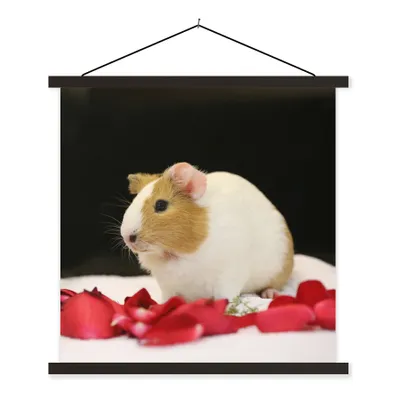 Produktbild von MuchoWow® Textilposter Liebes Meerschweinchen 90x90 cm mit schwarzem Rahmen - Magnetisches