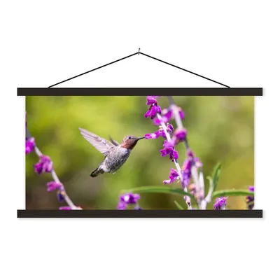 Produktbild von MuchoWow® Textilposter Kolibri - Vogel - Natur 90x45 cm mit schwarzem Rahmen - Klemmleisten