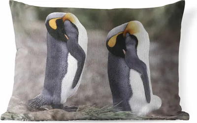 Produktbild von MuchoWow® Outdoor Kissen - Zwei schlafende Pinguine - 60x40 cm - Wetterfest - Lounge Kissen - Zierkissen - Kissen für Innenräume