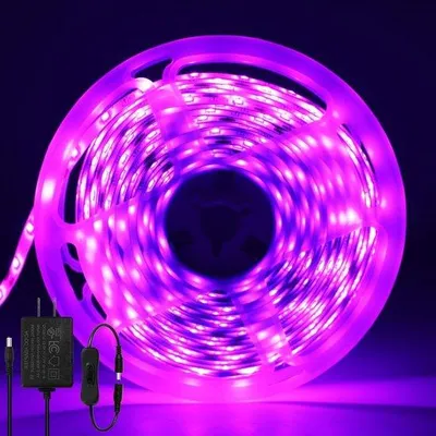 Immagine prodotto di Filamento LED rosa da 5 metri, 12 V, SMD2835, flessibile e impermeabile - Decorazione per camera da letto, bar, cucina e Natale