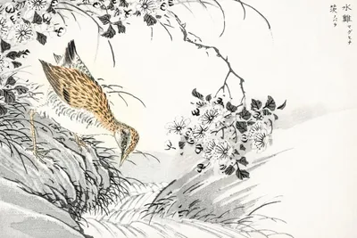 Produktbild von Poster 30x20cm Sandpiper, Japanischer Vintage Kashu für das Wohnzimmer