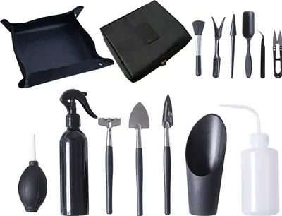 A collection of gardening tools for planting bonsai and succulents, laid out on a white background.