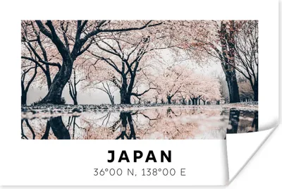 Produktbild von MuchoWow® Poster Sakura - Japan - Frühling 120x80 cm - Bilder