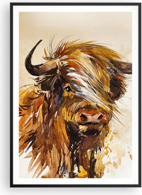 Produktbild von Gerahmtes Poster - Schwarzer Rahmen - Stier Scotch Aquarell - 70x100 cm - Wand Bild - Wanddeko - Wandbilder - Kunstposter - Wandposter - Bilderrahmen - Bilder - Kunstdruck - P2BPA70x100-4708