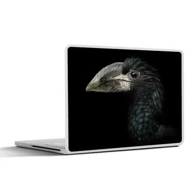 Produktbild von MuchoWow® Laptop Aufkleber Sticker Cover Vogel - Porträt - Hornvogel - Schwarz - Tiere 32.5x23.5 cm - Sticker für Laptop - Selbstklebend