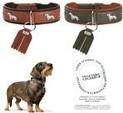 Produktbild von Hunter Teckel-Halsband München