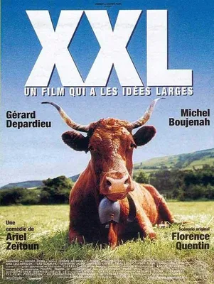 Immagine prodotto di XXL - Gérard Depardieu - 116x158 cm - Locandina cinematografica originale