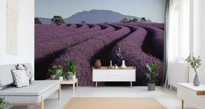 Immagine prodotto di Carta da parati in tessuto non tessuto murale paesaggio incantevole campo di lavanda 450 cm (L) x 300 cm (H) murale decorazione murale