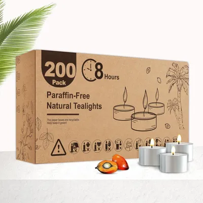 Produktbild von 200 Teelichter, duftend nach Palmolie – Brenndauer: 8 Stunden, rauchfrei und tropffrei