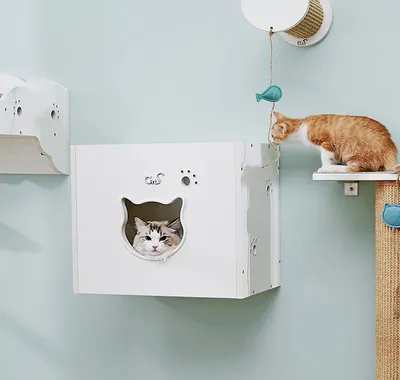 Produktbild von CatS Design Kletterwand große Katzen stabil Wandkratzbaum Wandhöhle F2