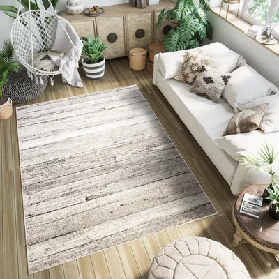 A cozy living room scene with a rug, sofa, hanging chair, and plants.