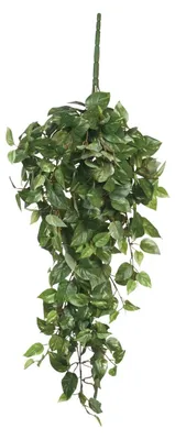 Produktbild von Mica Decorations Scindapsus hängende Kunstpflanze - H80 cm - Grün