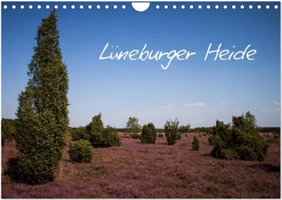 Produktbild von Lüneburger Heide (Wandkalender 2025 DIN A4 quer), CALVENDO Monatskalender