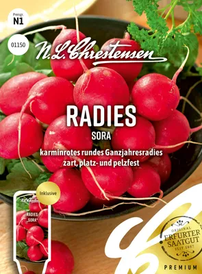 Artikelbild 1 von 'Radies Sora' aus der Kategorie Radieschensamen