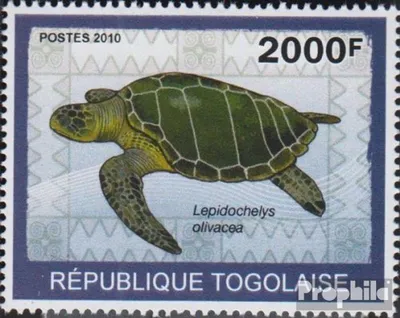 Produktbild von Briefmarken Togo 2010 Mi 3428 (kompl.Ausg.) postfrisch Schildkröten