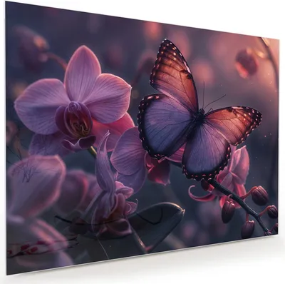 Produktbild von Glasbild 120x90cm in XXL für Wohnzimmer, Schlafzimmer Motiv Schmetterling Blüte