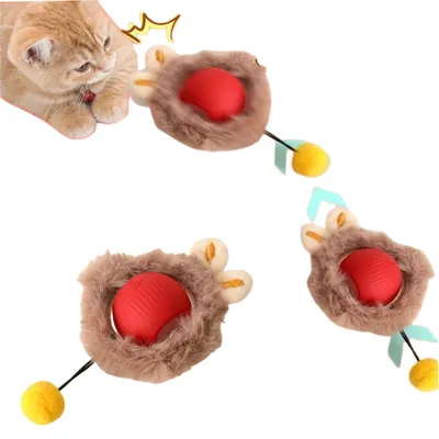 Interaktiver Katzenspielball, LED, 360°, USB, für Katzen