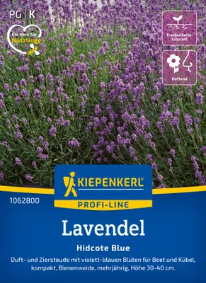 Produktbild von Kiepenkerl Lavendelsamen Hidcote Blue Lavandula angustifolia 40 Pflanzen