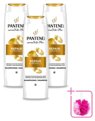 Imagen del producto de 3 champús Pantene Pro-V Reparación y Protección - 250 ml - Pack ahorro - 3 unidades