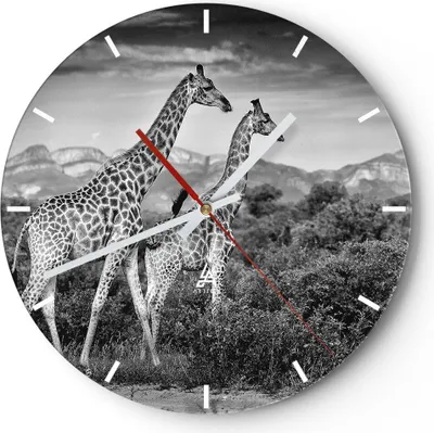 Produktbild von Wanduhr - Rund - Glasuhr - Giraffen Schwarzweiß Fotografie - 40x40cm - Schleichendes Uhrwerk - Lautlos - zum Aufhängen bereit - Dekoration Modern - Wanddekoration aus Glas - C3AR40x40-4441