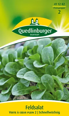 Produktbild von Feldsalat 'Verte à coeur plein 2' Quedlinburger Salatsamen