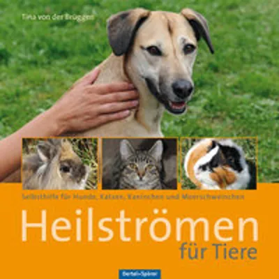 Produktbild von Heilströmen für Tiere