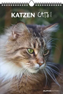 Produktbild von Alpha Edition - Katzen Kalender 2026 - Wandkalender 23,7×34 cm mit Katzenmotiven & Platz für Notizen, 4-sprachiges Kalendarium, dekorativer Bildkalender mit Zusatzinfos für Katzenliebhaber