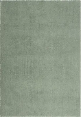 A plain, flat lay image of a rug.
