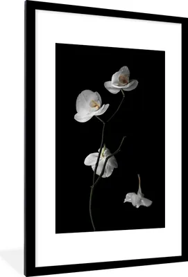 Produktbild von MuchoWow® Gerahmtes Poster Orchidee - Blumen - Schwarz - Weiß - Stilleben 60x90 cm - Poster mit Schwarzem Bilderrahmen Wandposter Rahmen Foto Bilder - Dekoration - Wandposter Wohnzimmer - Hochwertig