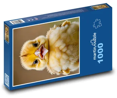 Obrázok produktu pre martinpuzzle - Puzzle 1000 - Kácatko