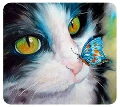 Produktbild von Diamant-Mosaik - Schwarze Katze