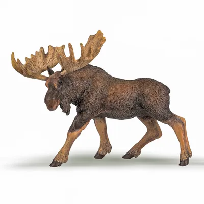 Immagine prodotto di Papo Wild Life Alce 50065