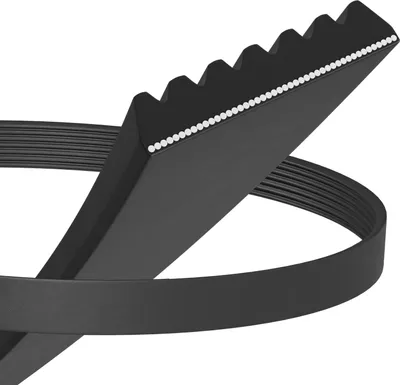 A black serpentine belt coiled on a white background.