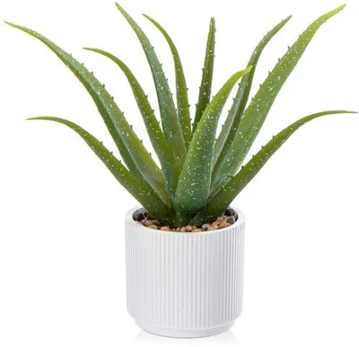 Productafbeelding van Kunstplant van aloë vera in een keramische pot, kunstplanten, kunststof decoratie voor woonkamer, balkon, slaapkamer, badkamer, kamer, tafeldecoratie