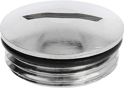 Productafbeelding van WISKA Blindplug PG13,5x1,41, rond met sleuf, inclusief O-ring, messing (CuZn), vernikkeld, schroefdraadlengte 6,5 mm - 1 stuk