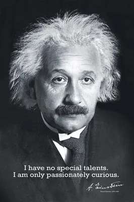 Immagine prodotto di Poster Einstein, Albert Curiosità