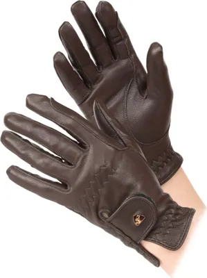 Produktbild von Aubrion - Damen Reithandschuhe, Leder ER1027 (XL) (Braun)