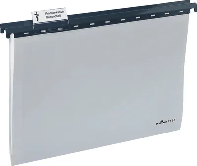 Produktbild von DURABLE Hängemappe A4 PP 25 ST 256310